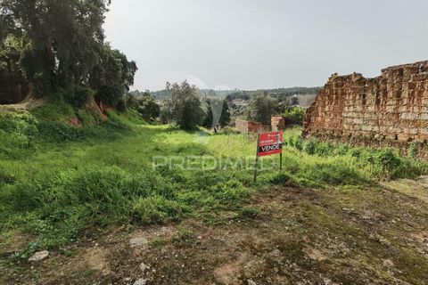 Terra a Alcanena, Santarem, Alcanena - € 45.000 | Ref: 035726 - foto 3