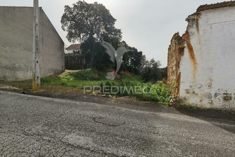 Terra a Alcanena, Santarem, Alcanena - € 45.000 | Ref: 035726 - foto 5