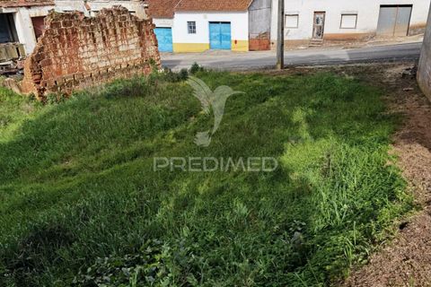 Terra a Alcanena, Santarem, Alcanena - € 45.000 | Ref: 035726 - foto 7