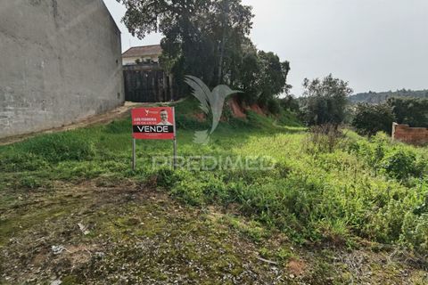 Terra a Alcanena, Santarem, Alcanena - € 45.000 | Ref: 035726 - foto 8