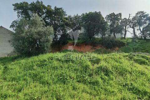 Terra a Alcanena, Santarem, Alcanena - € 45.000 | Ref: 035726 - foto 10