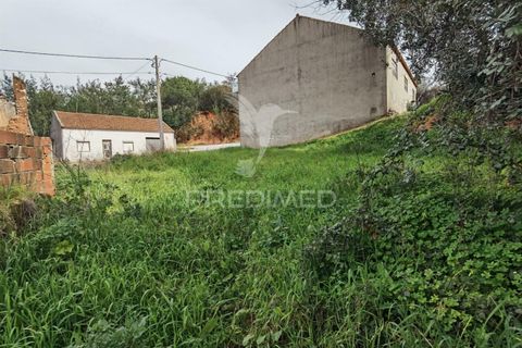 Terra a Alcanena, Santarem, Alcanena - € 45.000 | Ref: 035726 - foto 11