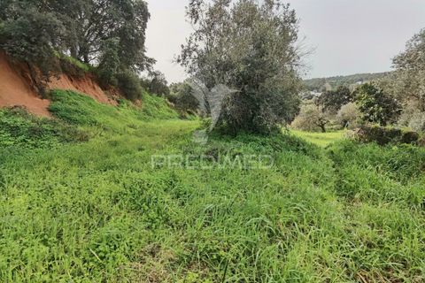 Terra a Alcanena, Santarem, Alcanena - € 45.000 | Ref: 035726 - foto 12