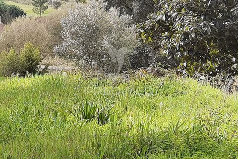 Terra a Alcanena, Santarem, Alcanena - € 45.000 | Ref: 035726 - foto 13