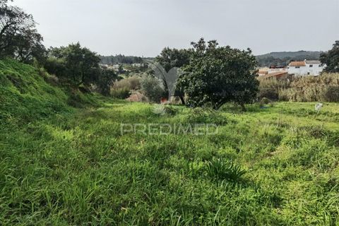Terra a Alcanena, Santarem, Alcanena - € 45.000 | Ref: 035726 - foto 14