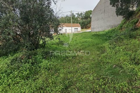 Terra a Alcanena, Santarem, Alcanena - € 45.000 | Ref: 035726 - foto 15