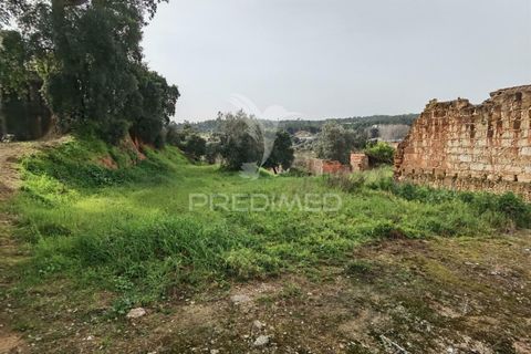 Terra a Alcanena, Santarem, Alcanena - € 45.000 | Ref: 035726 - foto 16