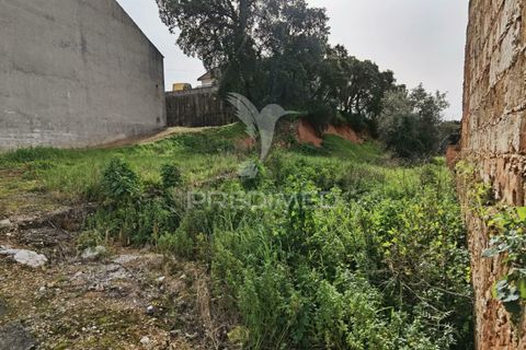 Terra a Alcanena, Santarem, Alcanena - € 45.000 | Ref: 035726 - foto 17