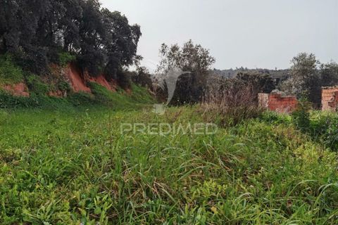 Terra a Alcanena, Santarem, Alcanena - € 45.000 | Ref: 035726 - foto 18