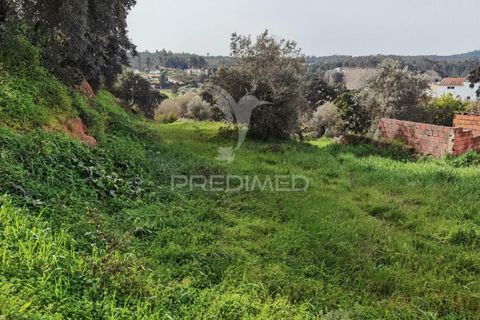 Terra a Alcanena, Santarem, Alcanena - € 45.000 | Ref: 035726 - foto 19