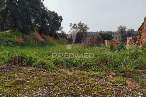 Terra a Alcanena, Santarem, Alcanena - € 45.000 | Ref: 035726 - foto 21