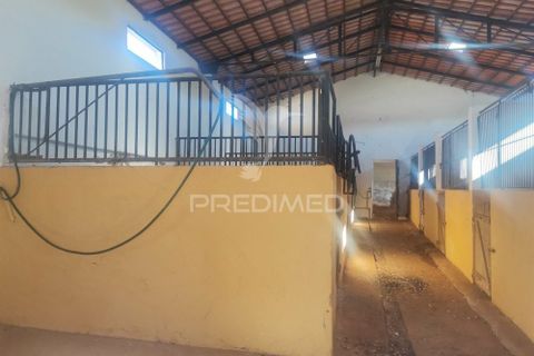 Masia a Moura, Beja, Moura - € 440.000 | Ref: 035828 - foto 11
