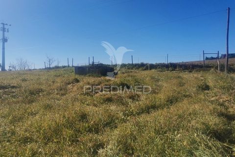 Masia a Moura, Beja, Moura - € 440.000 | Ref: 035828 - foto 12