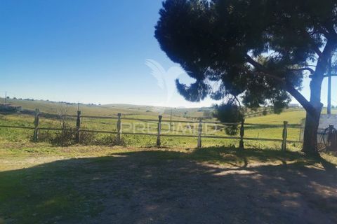 Masia a Moura, Beja, Moura - € 440.000 | Ref: 035828 - foto 15