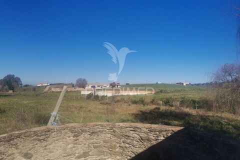 Masia a Moura, Beja, Moura - € 440.000 | Ref: 035828 - foto 17
