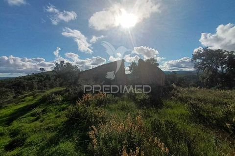 Helårsgrund i Silves, Faro, Silves - € 100.000 | Ref: 035887 - foto 3
