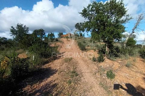 Helårsgrund i Silves, Faro, Silves - € 100.000 | Ref: 035887 - foto 5