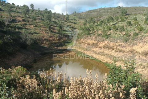 Helårsgrund i Silves, Faro, Silves - € 100.000 | Ref: 035887 - foto 6