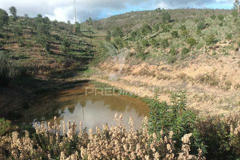 Helårsgrund i Silves, Faro, Silves - € 100.000 | Ref: 035887 - foto 7