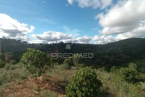 Helårsgrund i Silves, Faro, Silves - € 100.000 | Ref: 035887 - foto 10