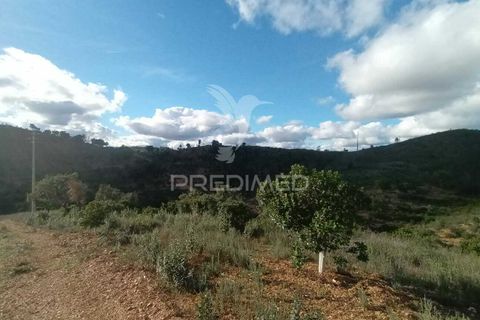 Helårsgrund i Silves, Faro, Silves - € 100.000 | Ref: 035887 - foto 11