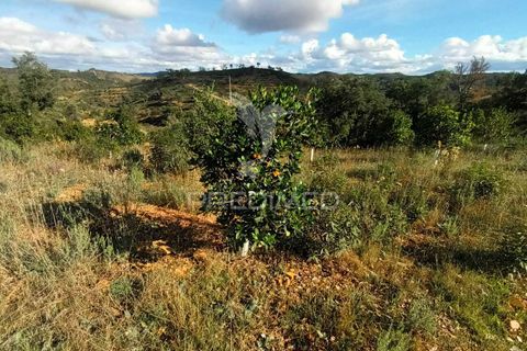 Helårsgrund i Silves, Faro, Silves - € 100.000 | Ref: 035887 - foto 18