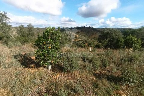Helårsgrund i Silves, Faro, Silves - € 100.000 | Ref: 035887 - foto 19