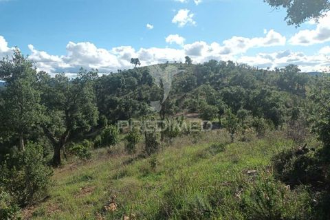 Helårsgrund i Silves, Faro, Silves - € 100.000 | Ref: 035887 - foto 20