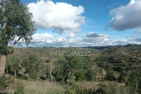 Helårsgrund i Silves, Faro, Silves - € 100.000 | Ref: 035887 - foto 21