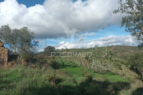 Helårsgrund i Silves, Faro, Silves - € 100.000 | Ref: 035887 - foto 23