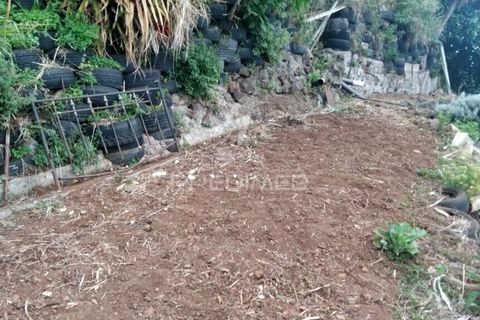 Helårsgrund i Machico, Madeira, Machico - € 45.000 | Ref: 037773 - foto 2