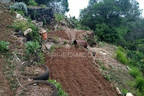 Helårsgrund i Machico, Madeira, Machico - € 45.000 | Ref: 037773 - foto 3