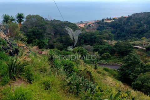 Helårsgrund i Machico, Madeira, Machico - € 45.000 | Ref: 037773 - foto 4