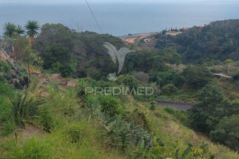 Helårsgrund i Machico, Madeira, Machico - € 45.000 | Ref: 037773 - foto 5