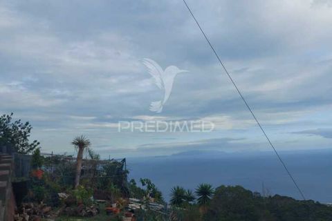 Helårsgrund i Machico, Madeira, Machico - € 45.000 | Ref: 037773 - foto 6