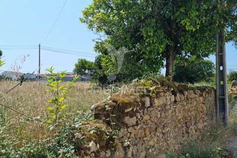 Helårsgrund i Coimbra, Coimbra, Coimbra - € 850.000 | Ref: 038012 - foto 5