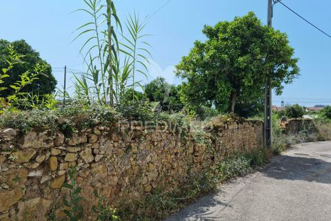 Helårsgrund i Coimbra, Coimbra, Coimbra - € 850.000 | Ref: 038012 - foto 6