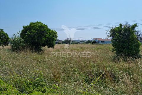 Helårsgrund i Coimbra, Coimbra, Coimbra - € 850.000 | Ref: 038012 - foto 7