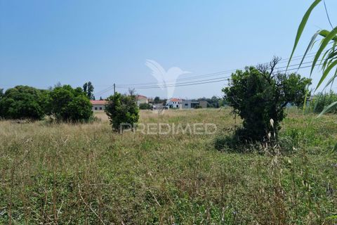 Helårsgrund i Coimbra, Coimbra, Coimbra - € 850.000 | Ref: 038012 - foto 9