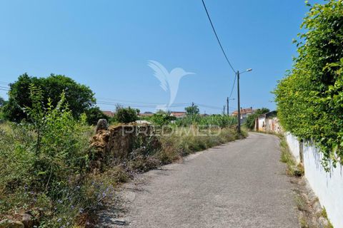 Helårsgrund i Coimbra, Coimbra, Coimbra - € 850.000 | Ref: 038012 - foto 10