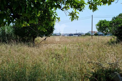Helårsgrund i Coimbra, Coimbra, Coimbra - € 850.000 | Ref: 038012 - foto 11