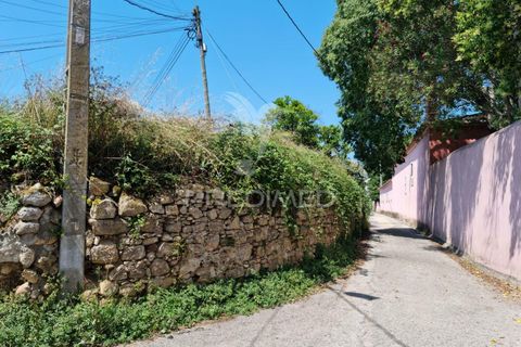 Helårsgrund i Coimbra, Coimbra, Coimbra - € 850.000 | Ref: 038012 - foto 13