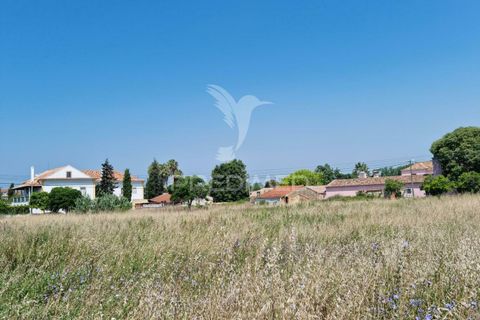 Helårsgrund i Coimbra, Coimbra, Coimbra - € 850.000 | Ref: 038012 - foto 14