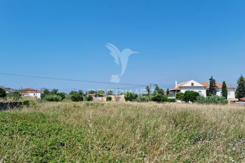 Helårsgrund i Coimbra, Coimbra, Coimbra - € 850.000 | Ref: 038012 - foto 15