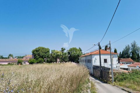 Helårsgrund i Coimbra, Coimbra, Coimbra - € 850.000 | Ref: 038012 - foto 16