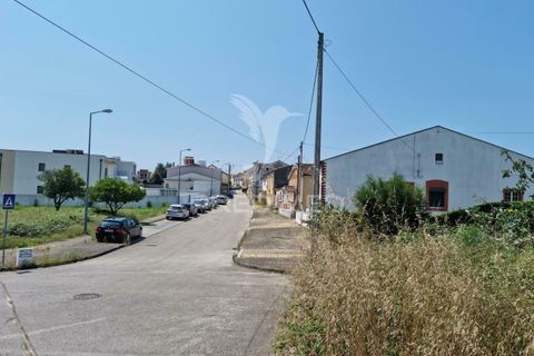 Helårsgrund i Coimbra, Coimbra, Coimbra - € 850.000 | Ref: 038012 - foto 17