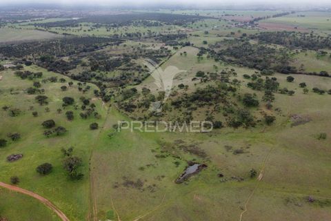 Farm hus i Odemira, Beja, Odemira - € 1.450.000 | Ref: 038024 - foto 5