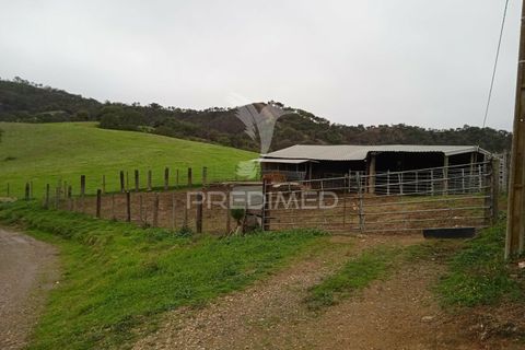 Farm hus i Odemira, Beja, Odemira - € 1.450.000 | Ref: 038024 - foto 10