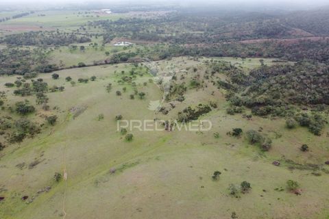 Farm hus i Odemira, Beja, Odemira - € 1.450.000 | Ref: 038024 - foto 12