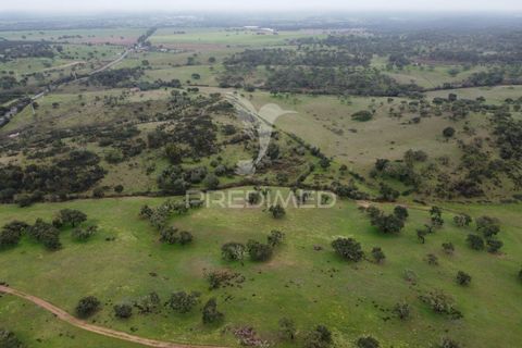 Farm hus i Odemira, Beja, Odemira - € 1.450.000 | Ref: 038024 - foto 13